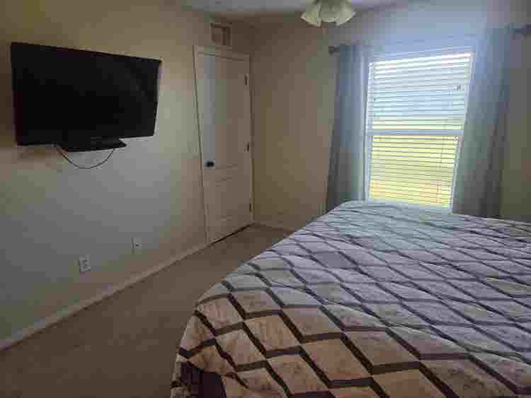 Looking for a roommate