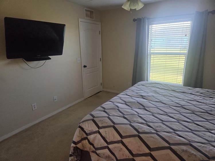 Looking for a roommate