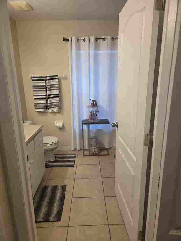Looking for a roommate