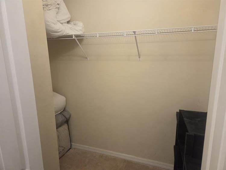Looking for a roommate
