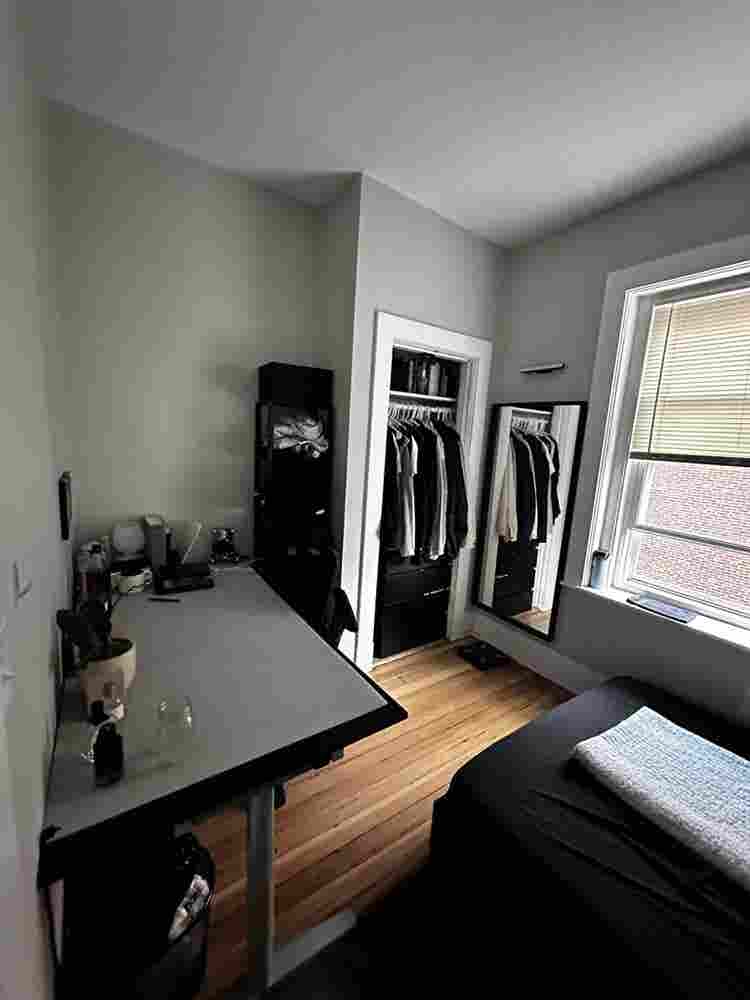 New roommate needed