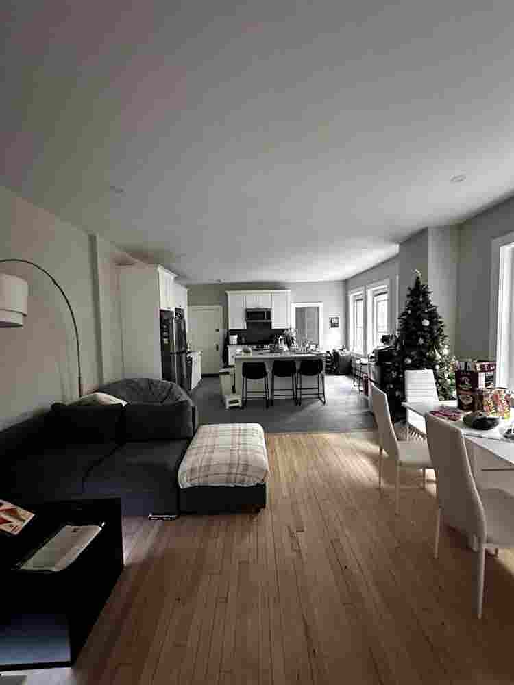 New roommate needed