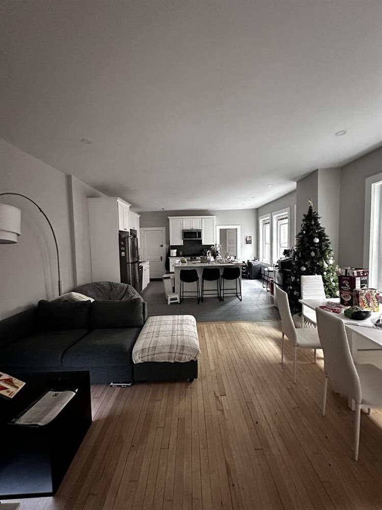 New roommate needed