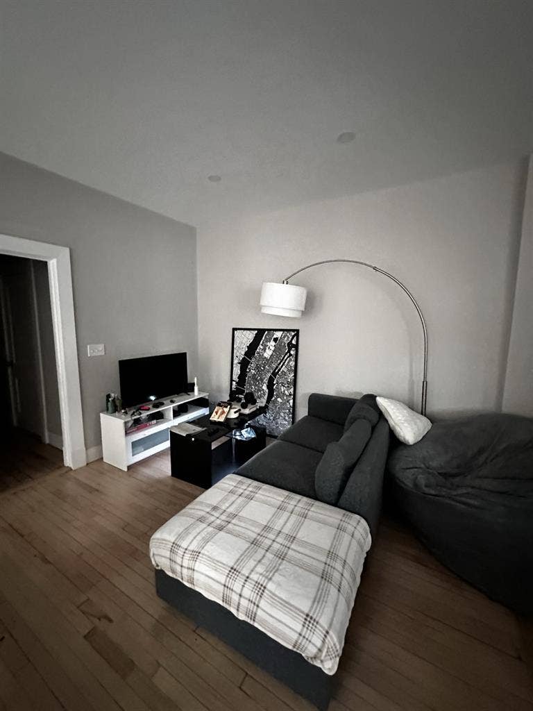 New roommate needed