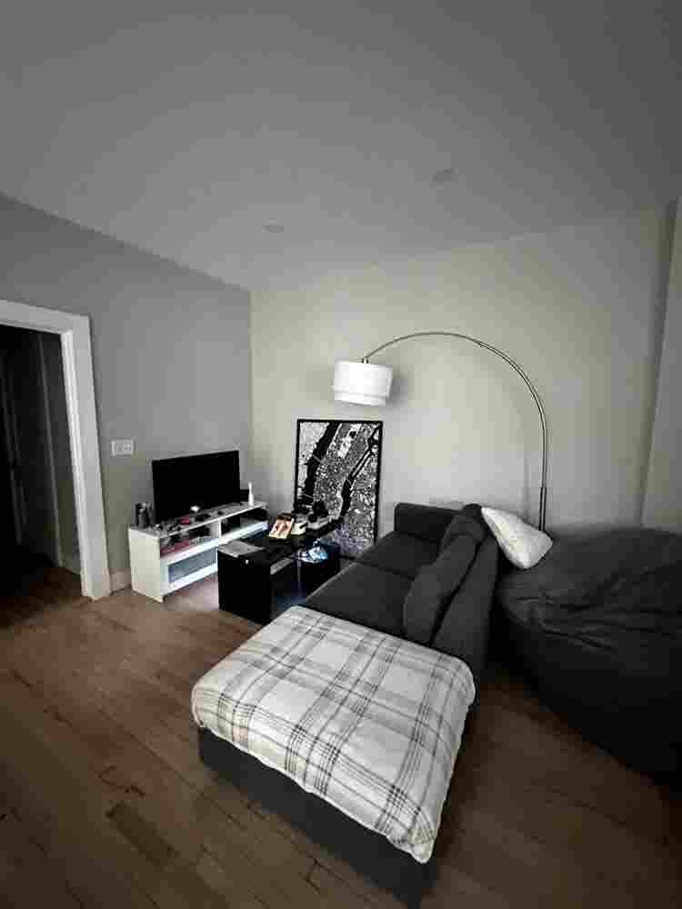 New roommate needed