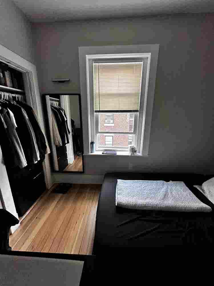 New roommate needed