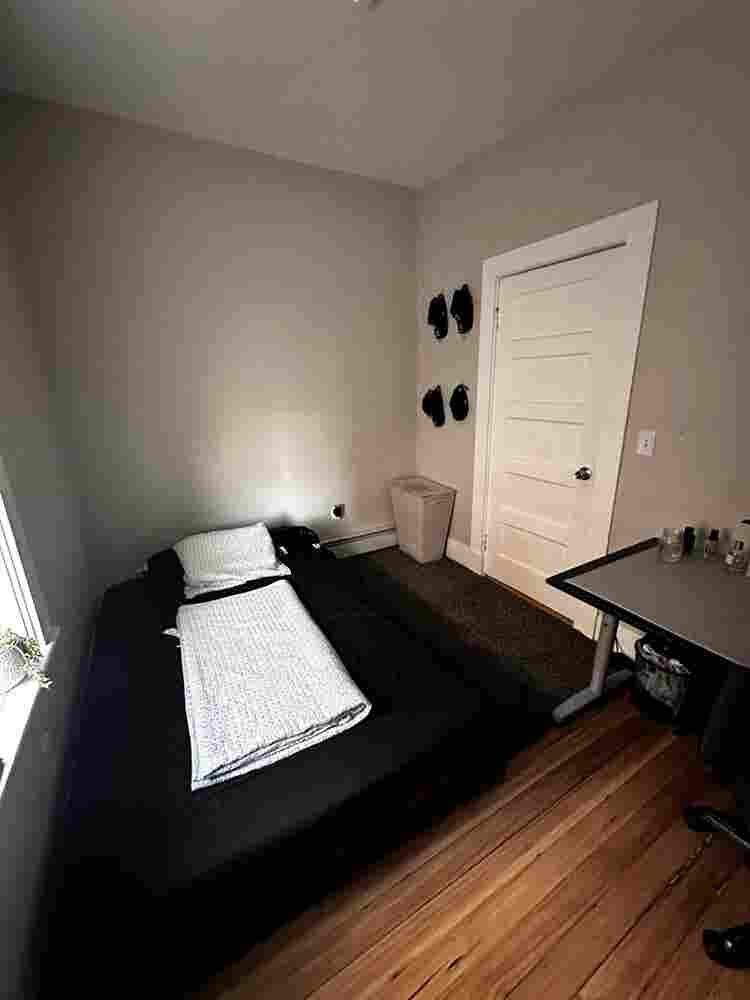 New roommate needed
