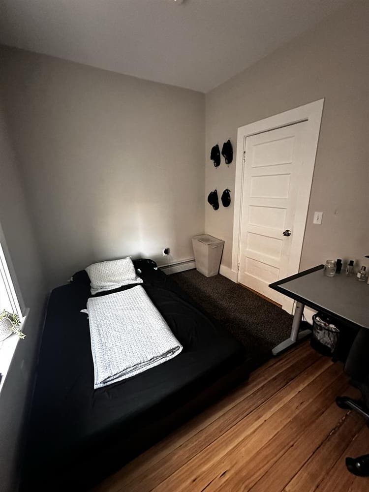 New roommate needed