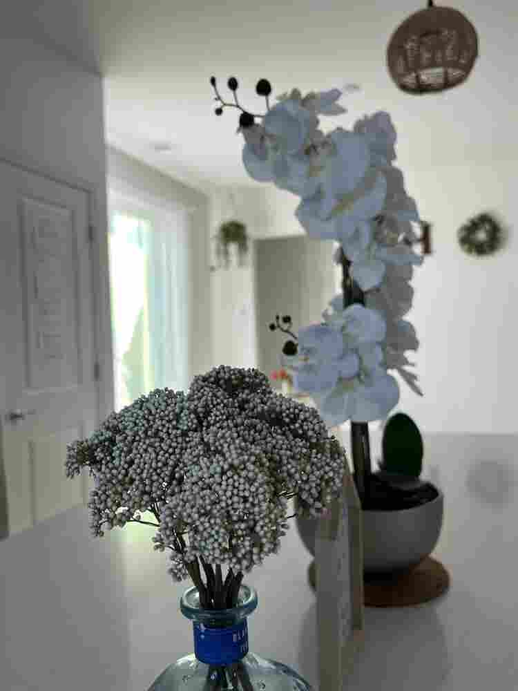 Natural Sunlight Big MasterRoom