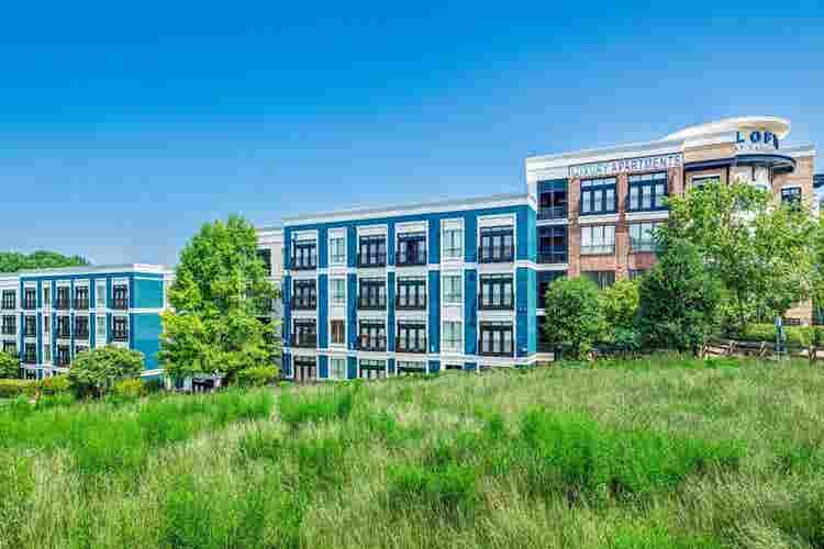 Spacious apt near Duke University