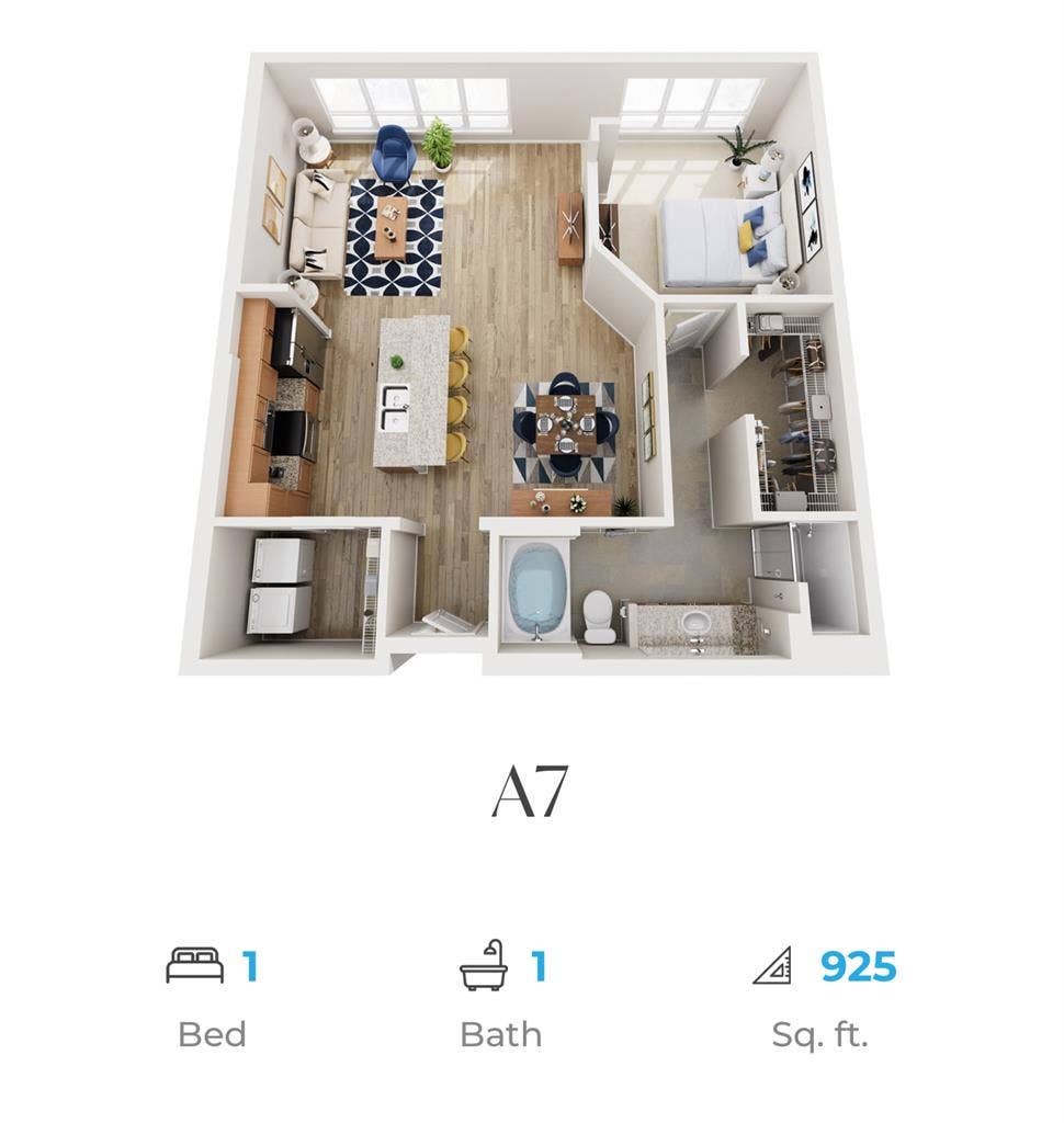 Spacious apt near Duke University