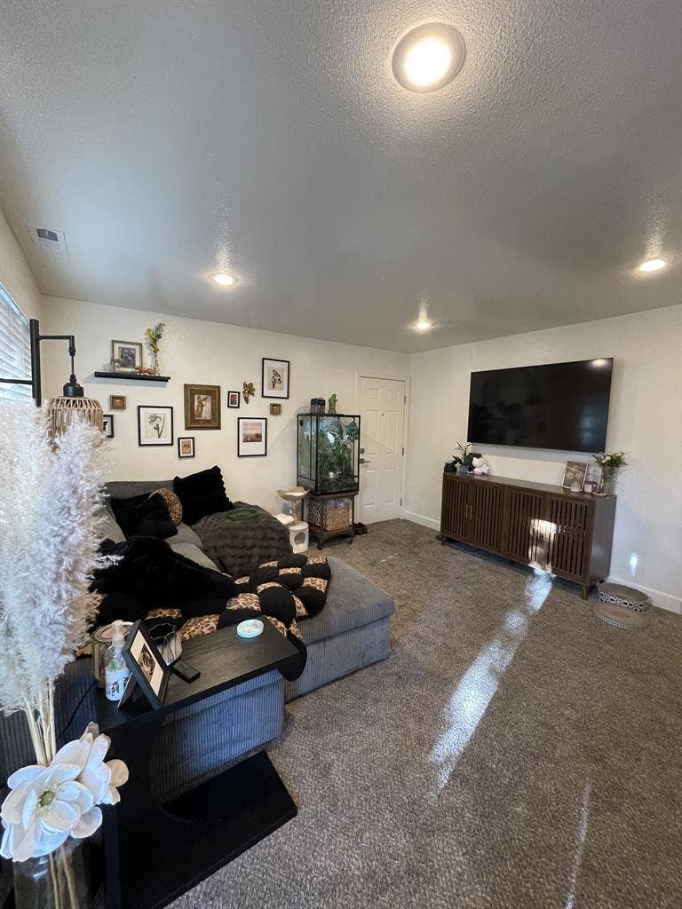 ROOMIE WANTED (female) - Midtown