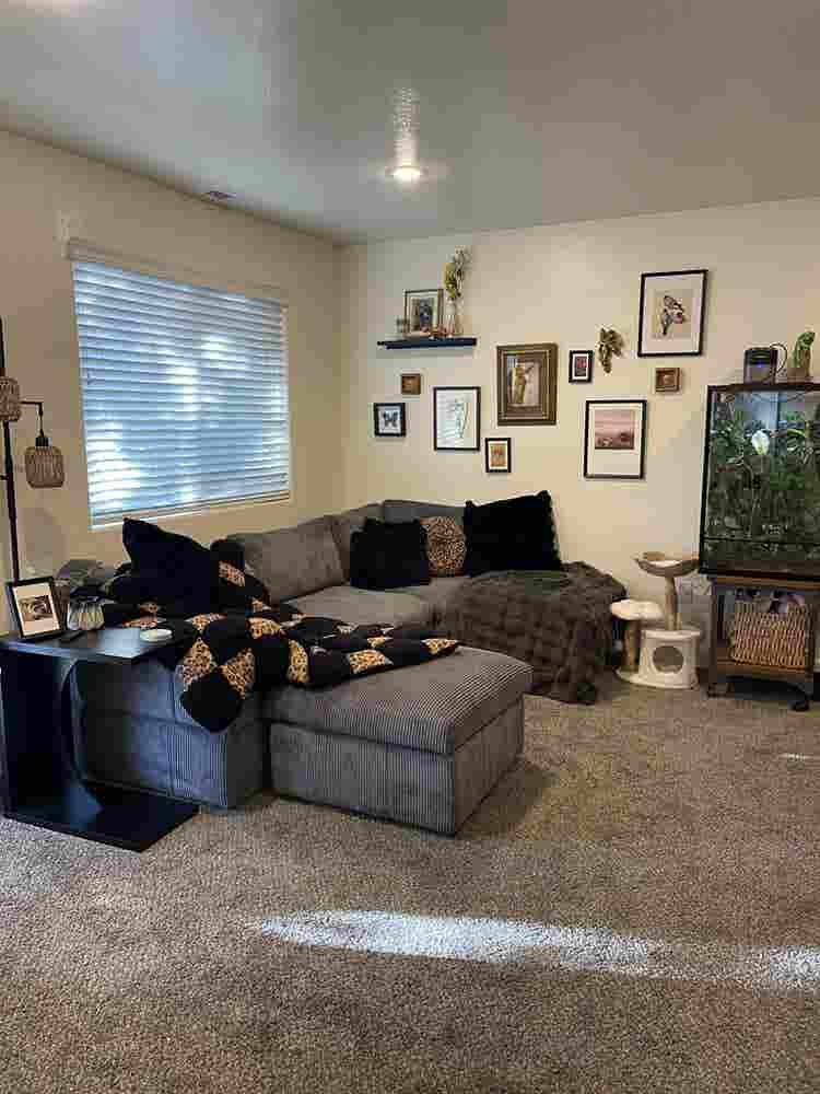 ROOMIE WANTED (female) - Midtown