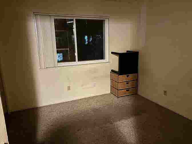 Two roommates seeking a third