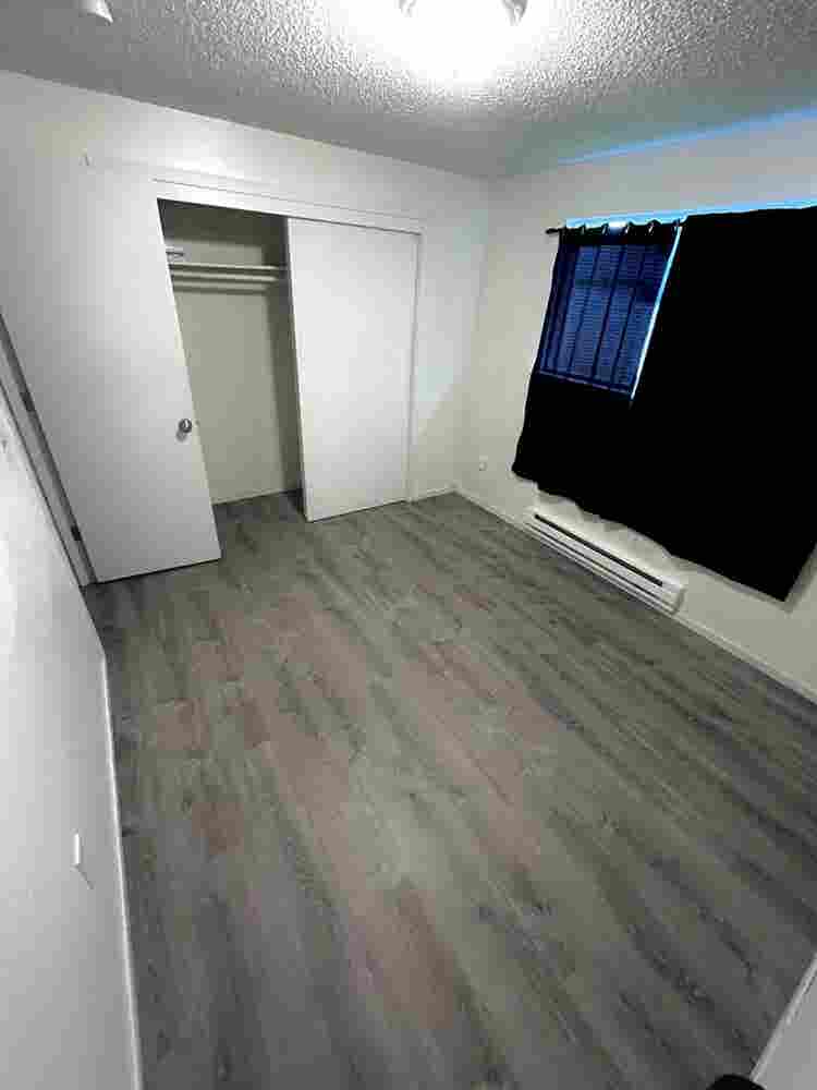 Room for rent, Steilacoom/Lakewood