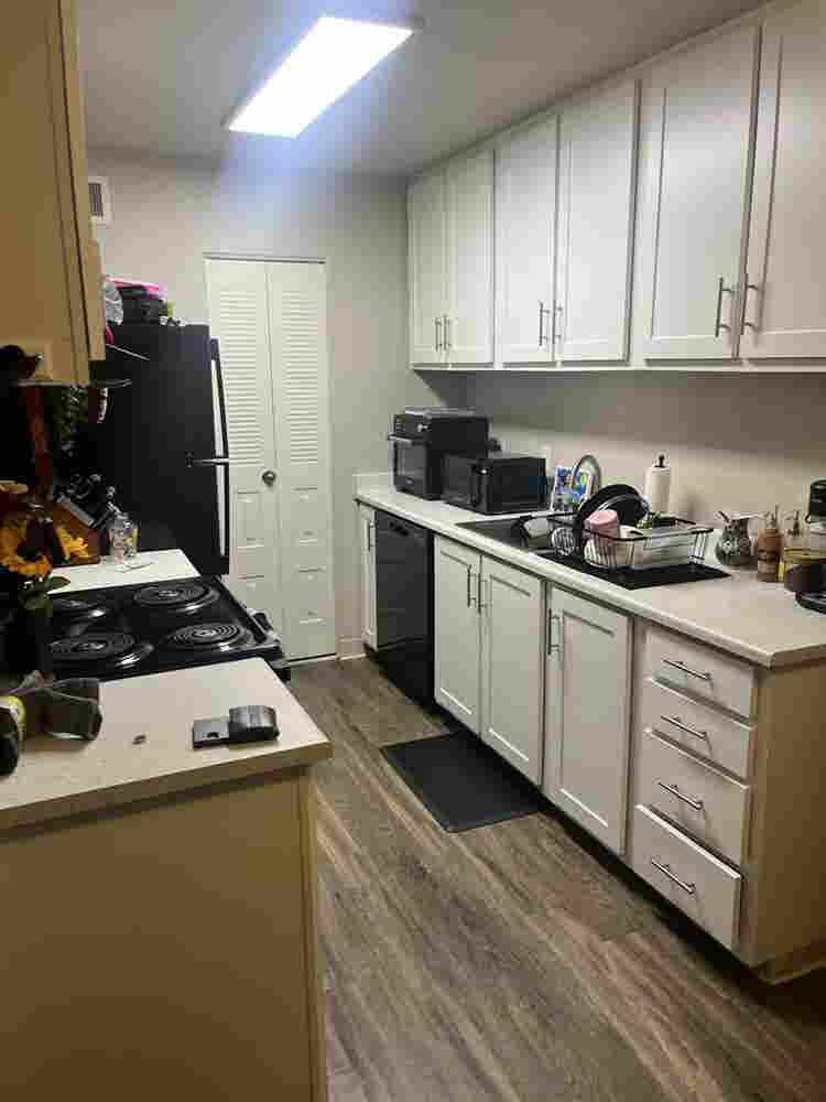 New Listing