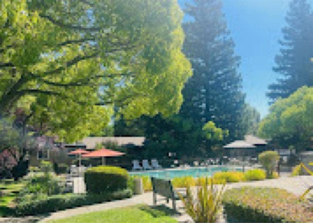 Room Available in Auburn, CA