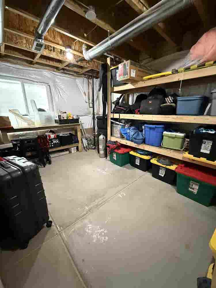 Needing roommate!