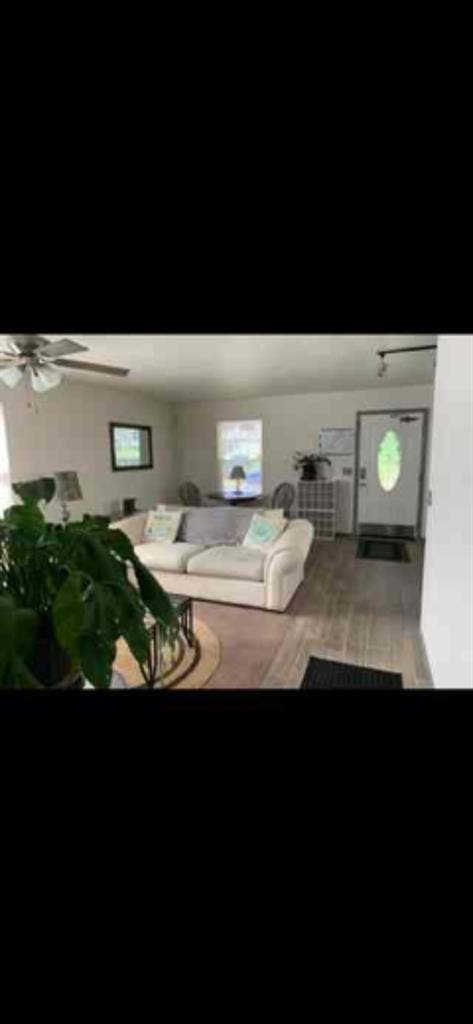 Room 4 Rent Well Maintained House