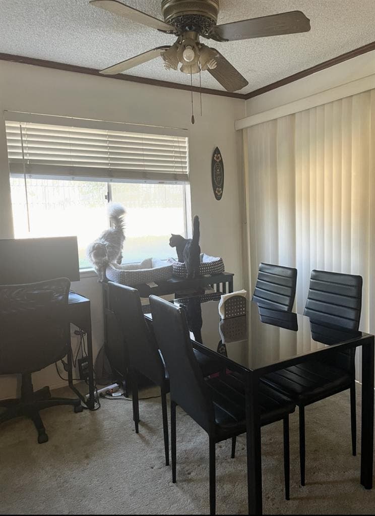 private room for rent