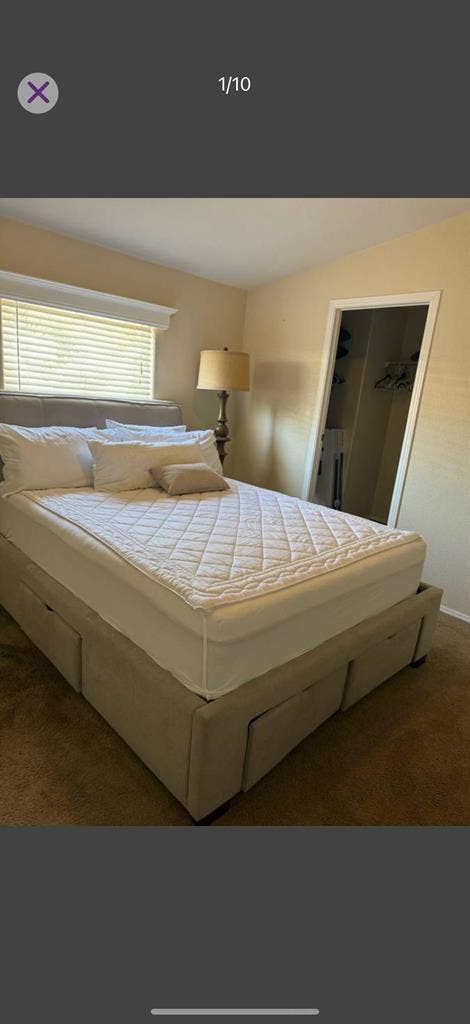 Room for rent must like dogs