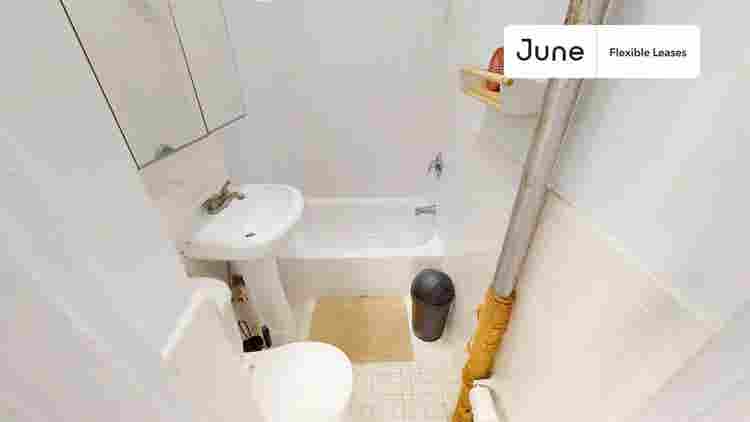 1 BR in New York City