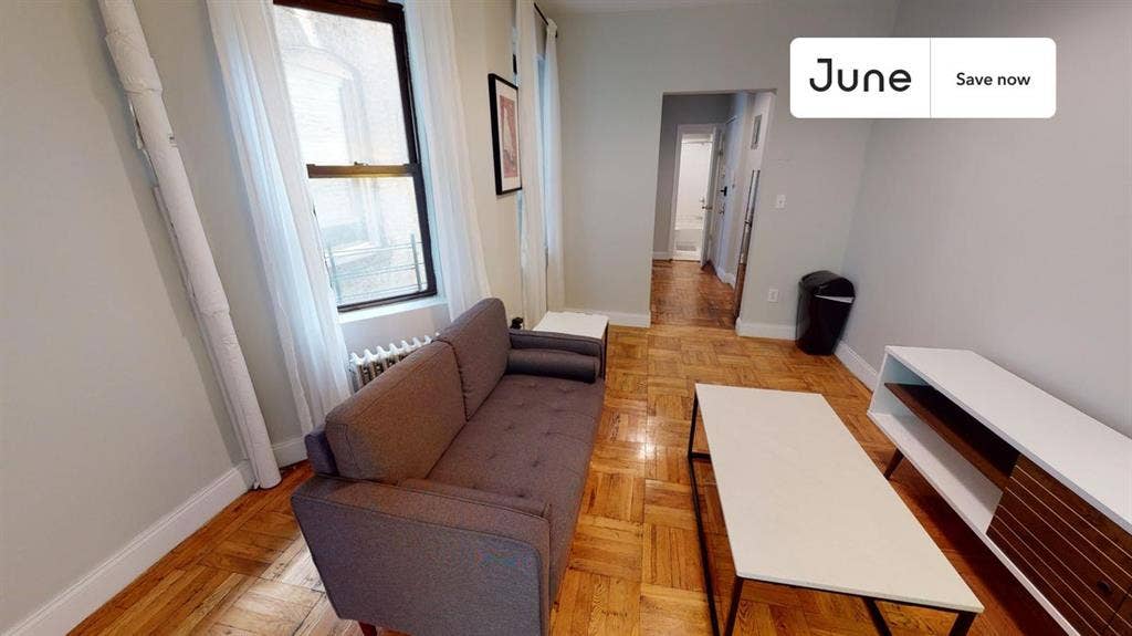 1 BR in New York City