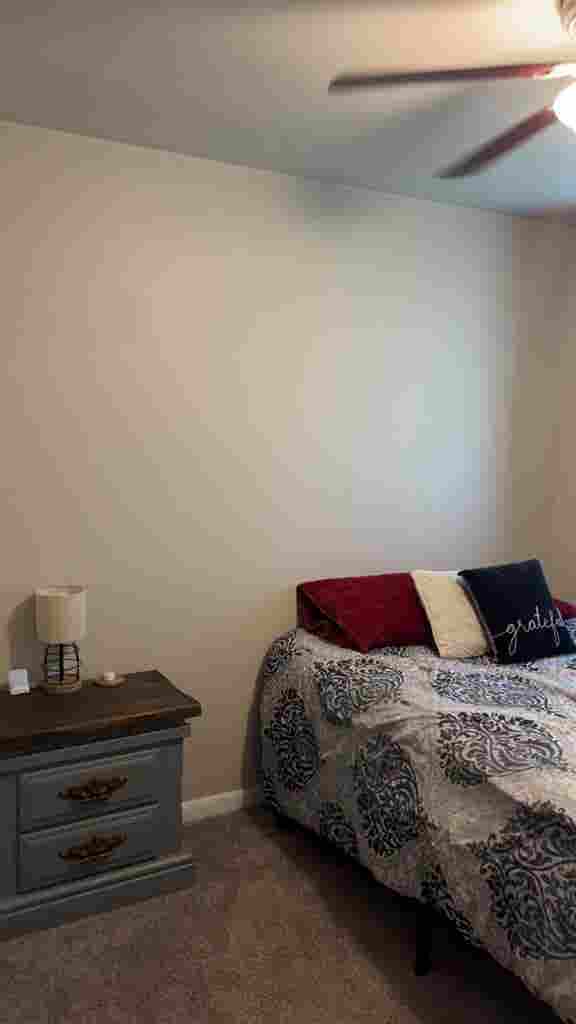 Roommate Wanted
