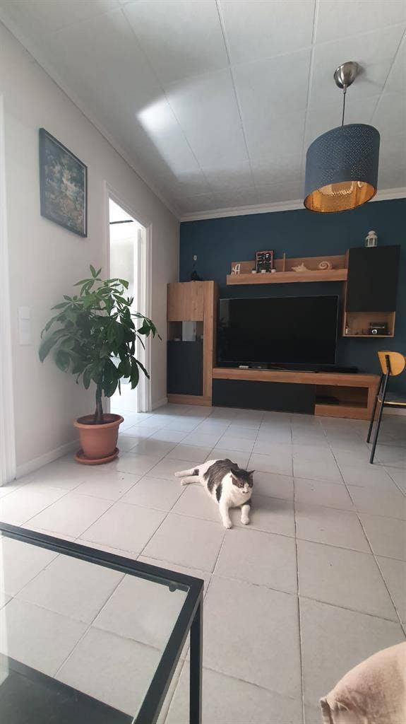 Habitaciones en el centro de Canet