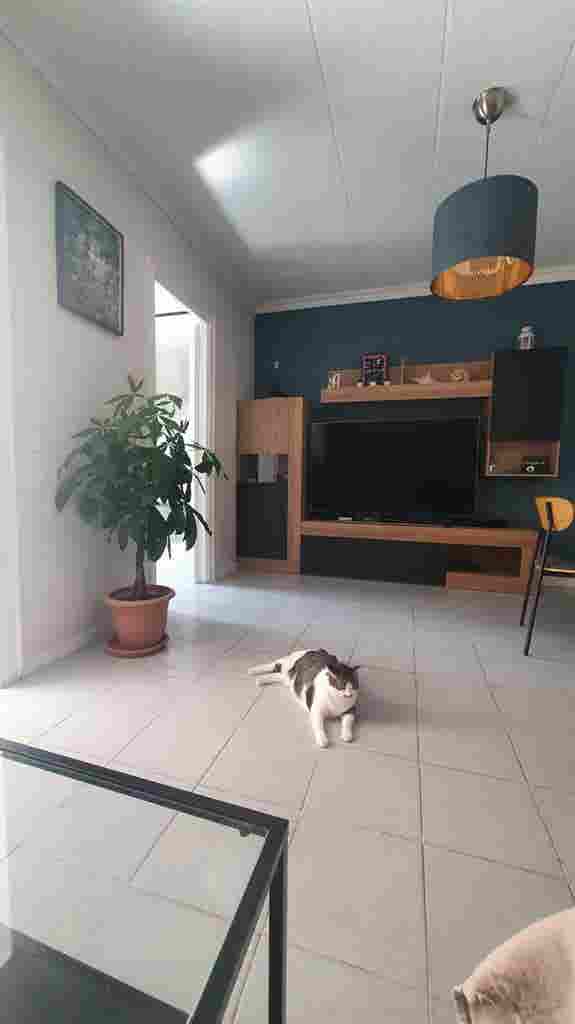 Habitaciones en el centro de Canet