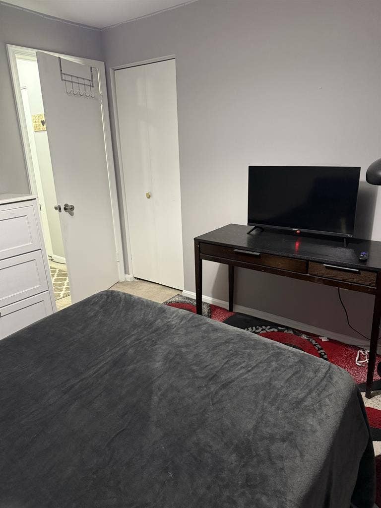 1BR private bath furnished