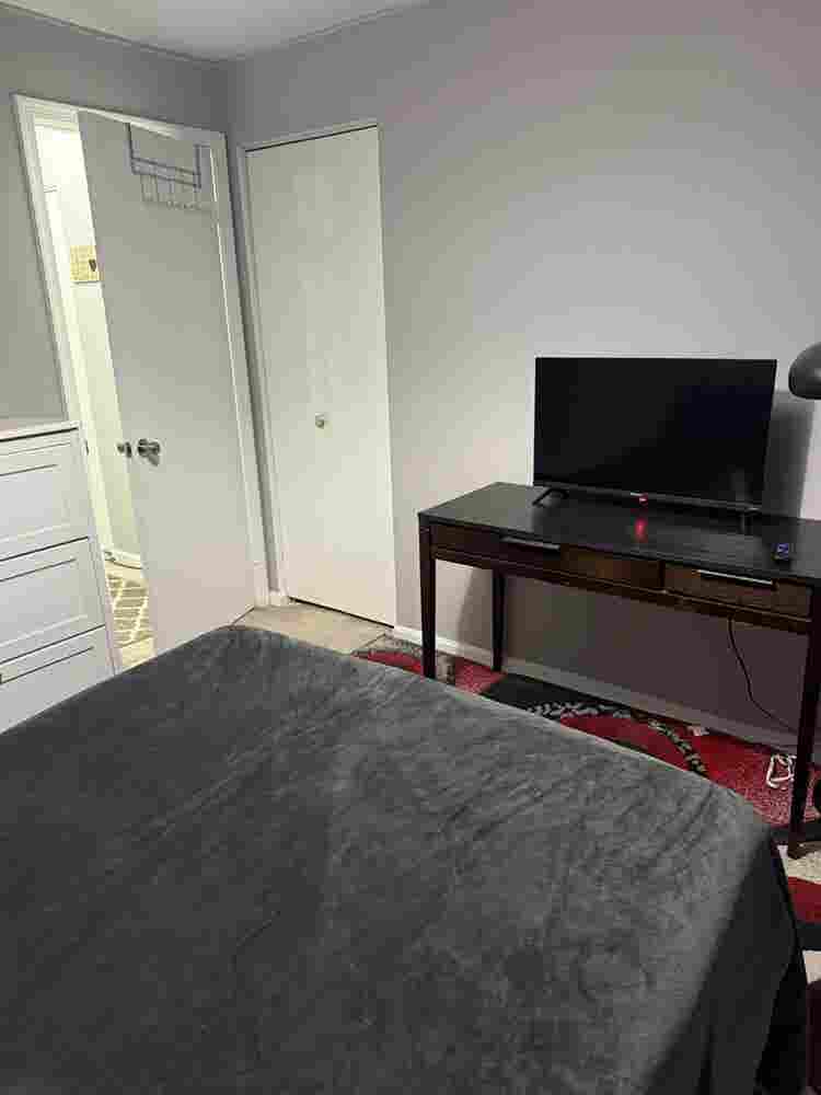 1BR private bath furnished