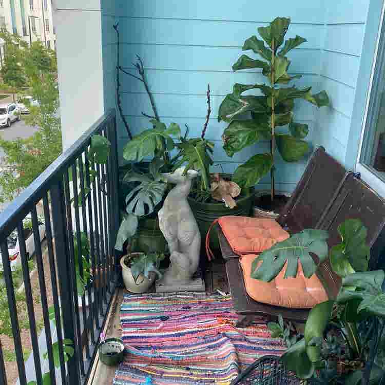 TWO ROOM SPACE FOR RENT
