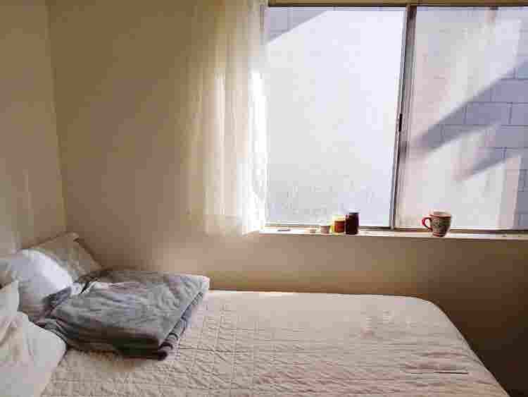 Room for Rent – Dog friendly