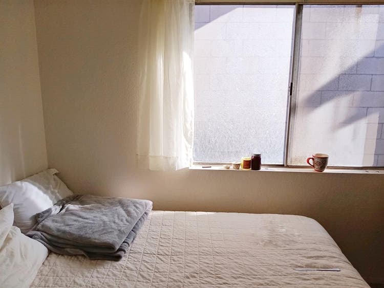 Room for Rent – Dog friendly