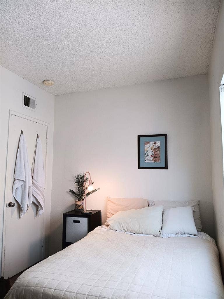 Room for Rent – Dog friendly