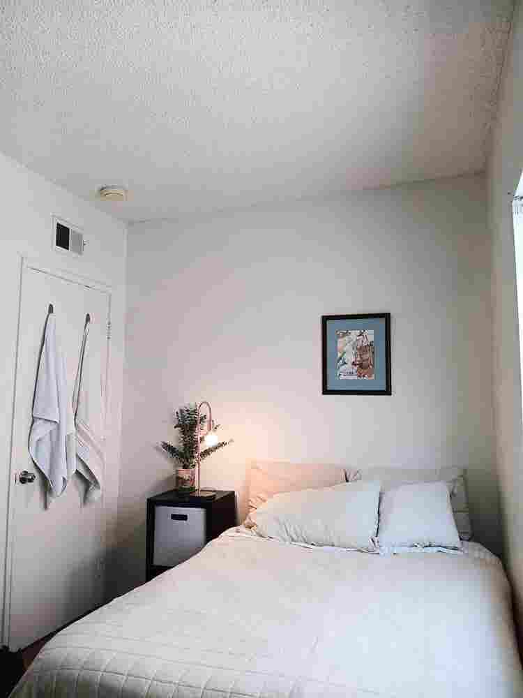 Room for Rent – Dog friendly