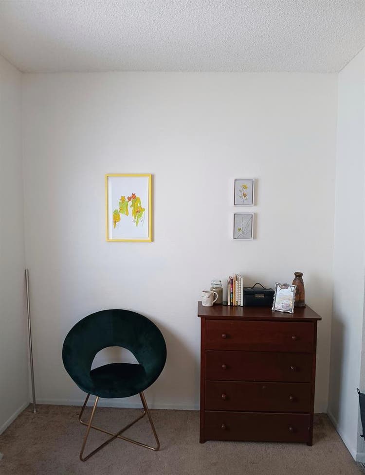 Room for Rent – Dog friendly
