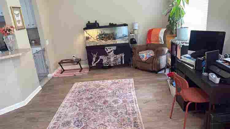 2 rooms & 
shared bathroom available
