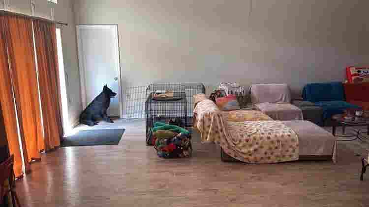 2 rooms & 
shared bathroom available