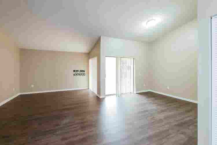 Great🏡 Available For you!