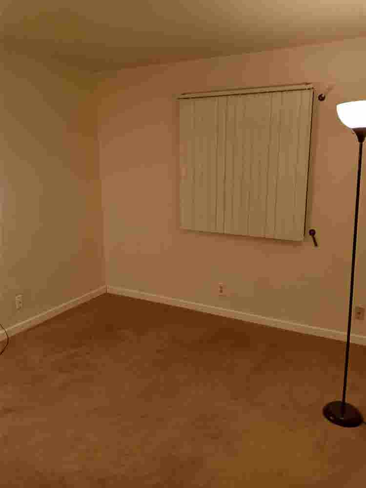 I have 2 rooms for rent near USD.