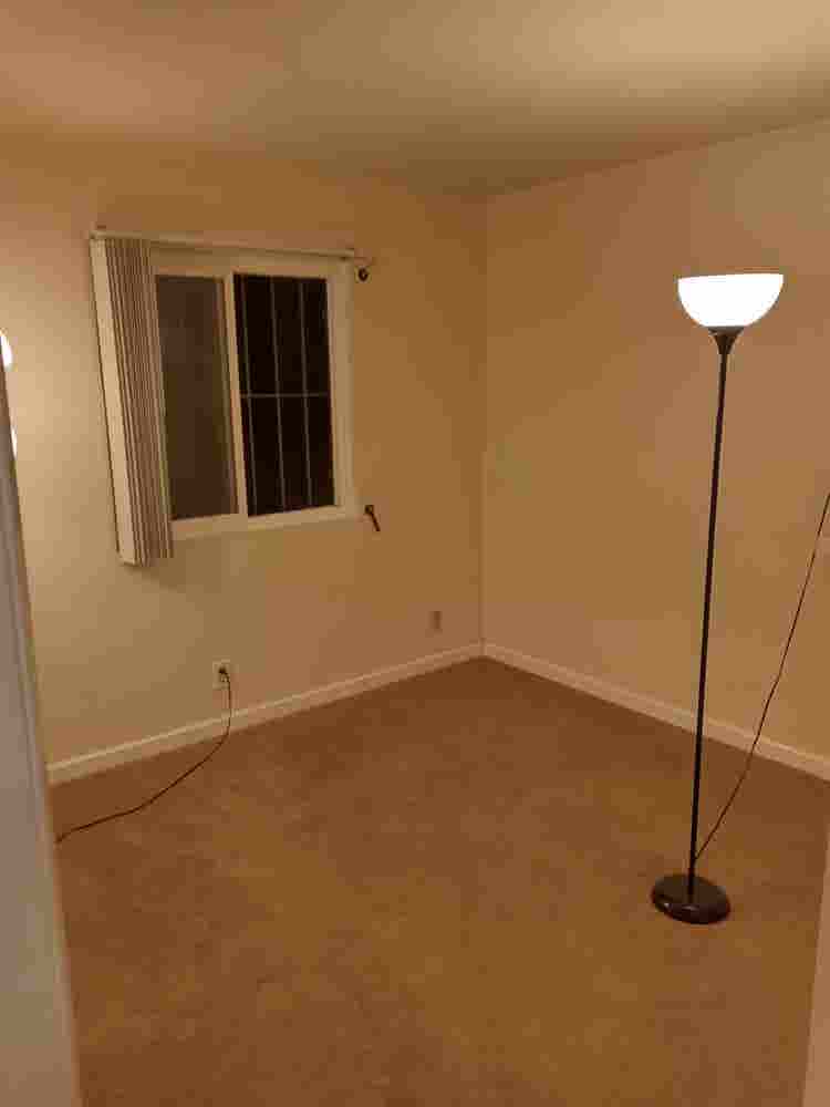 I have 2 rooms for rent near USD.
