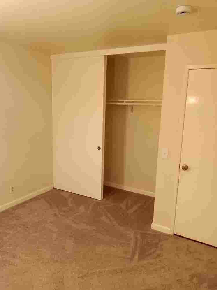 I have 2 rooms for rent near USD.
