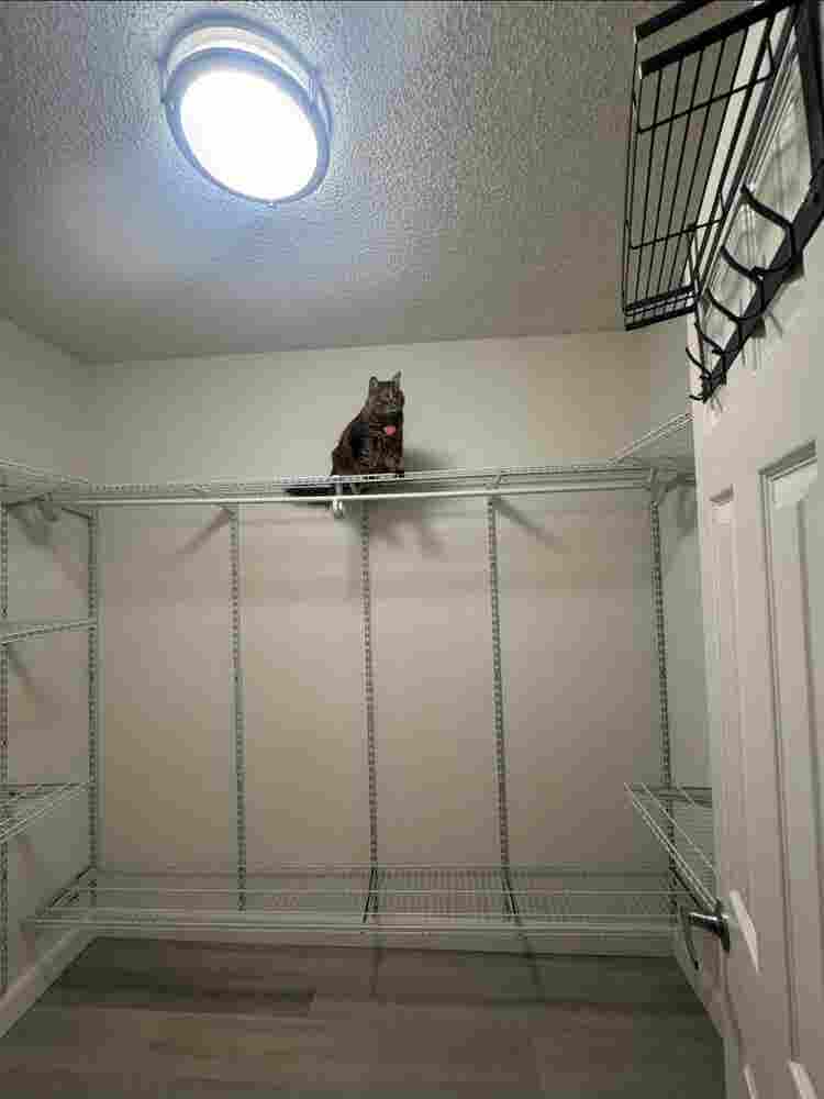 Roommate for bedroom Pico-Rivera