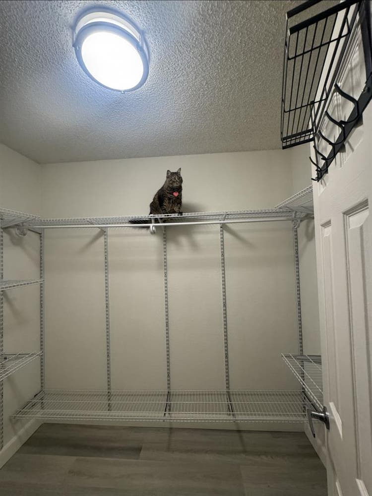 Roommate for bedroom Pico-Rivera