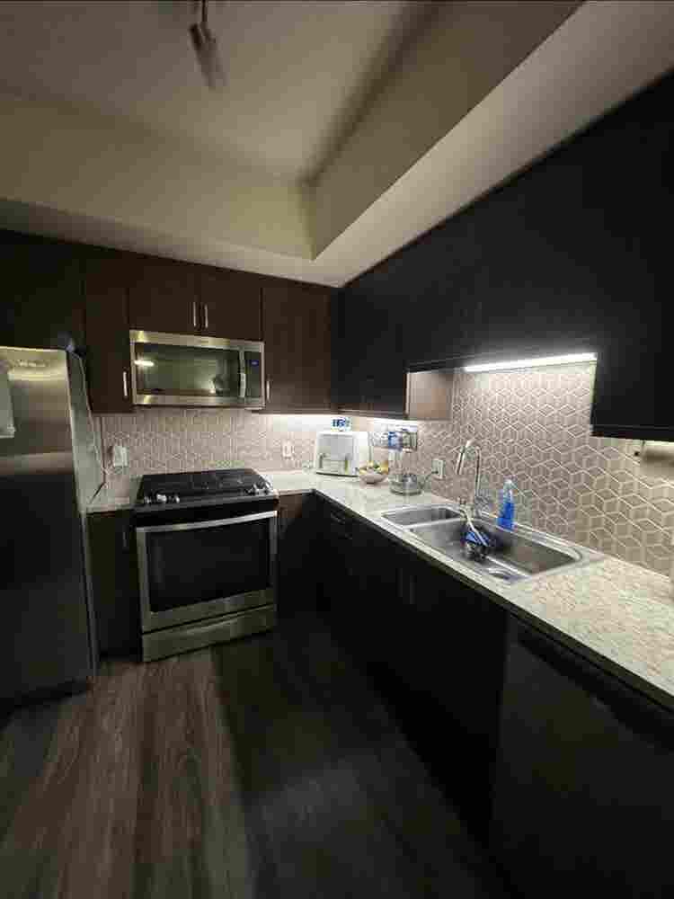 Room for Rent In Luxury Shared Apt