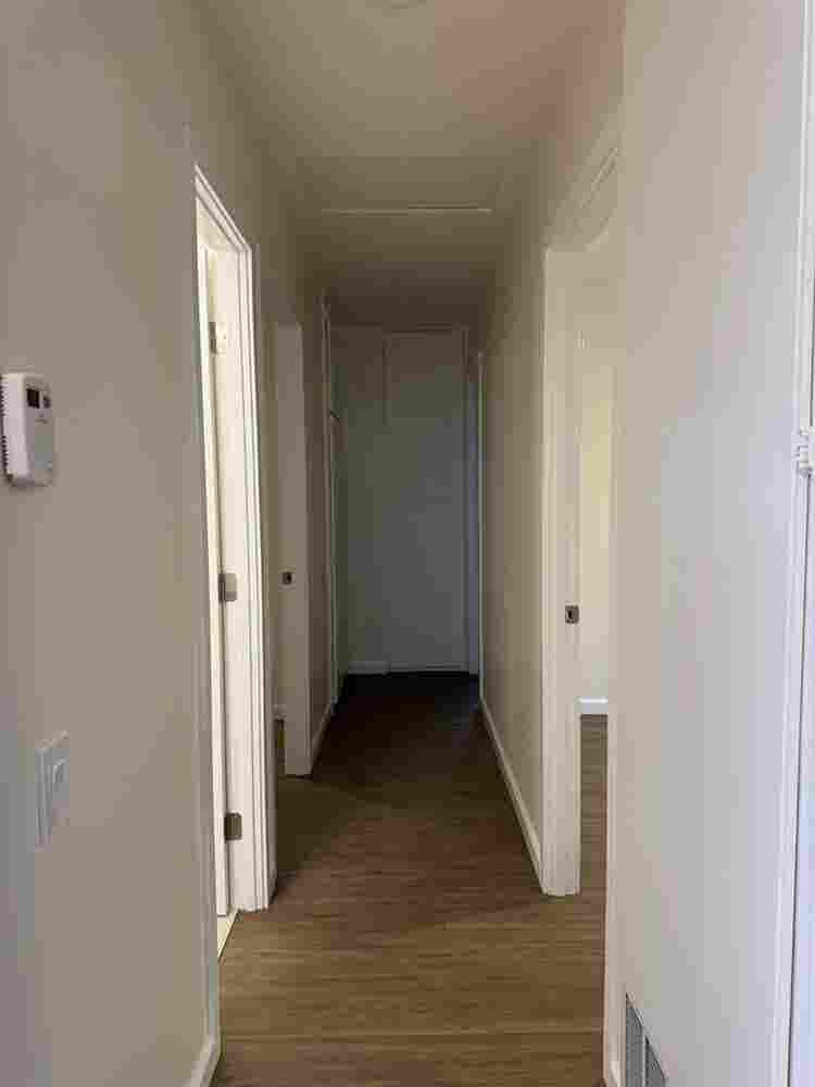looking for female roommates
