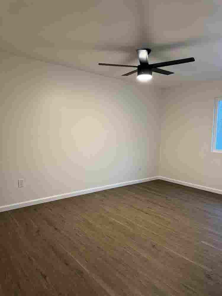looking for female roommates