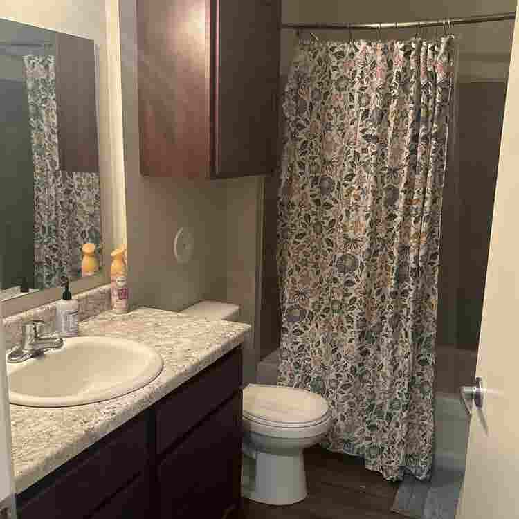 Need young female roommate